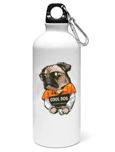 Cool dog - Printed Sipper Bottles For Animation Lovers